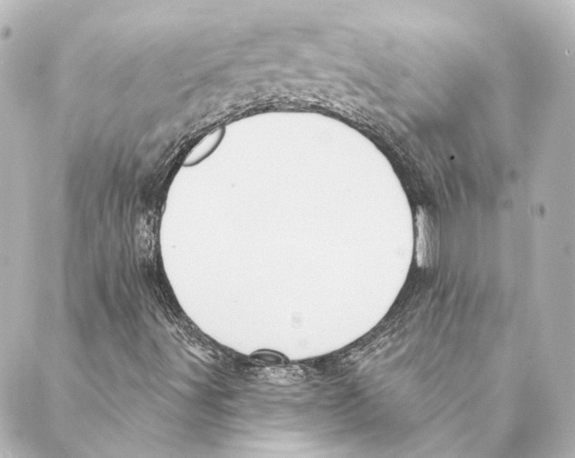 X0000088571491200706221238