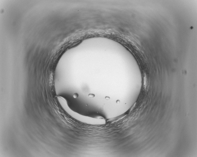 X0000088571492200706221238