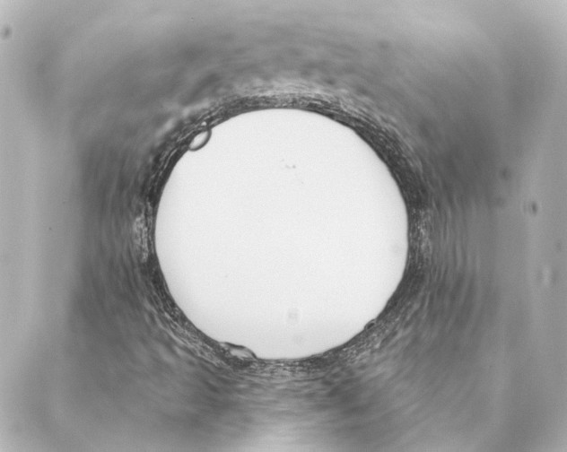 X0000088571493200706221238