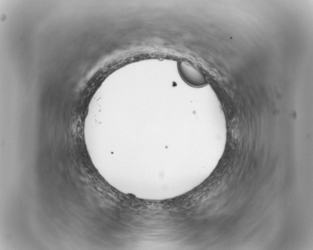 X0000088571495200706221238