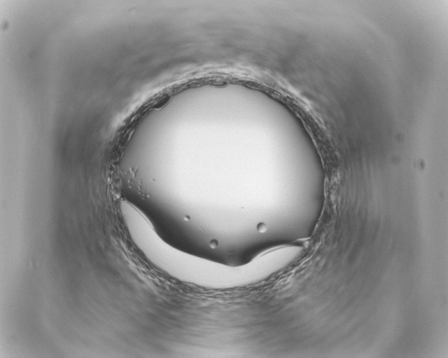 X0000088571496200706221238