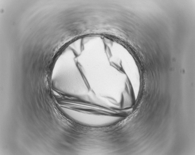 X0000088571497200706221238