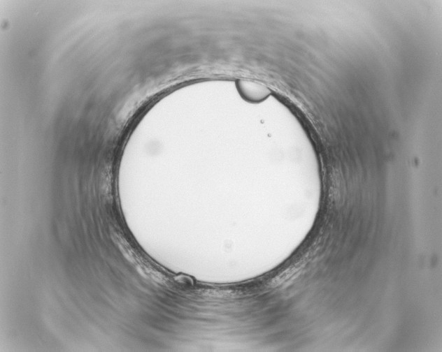 X0000088571499200706221238