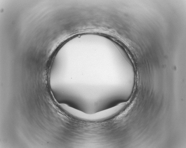 X0000088571501200706221238