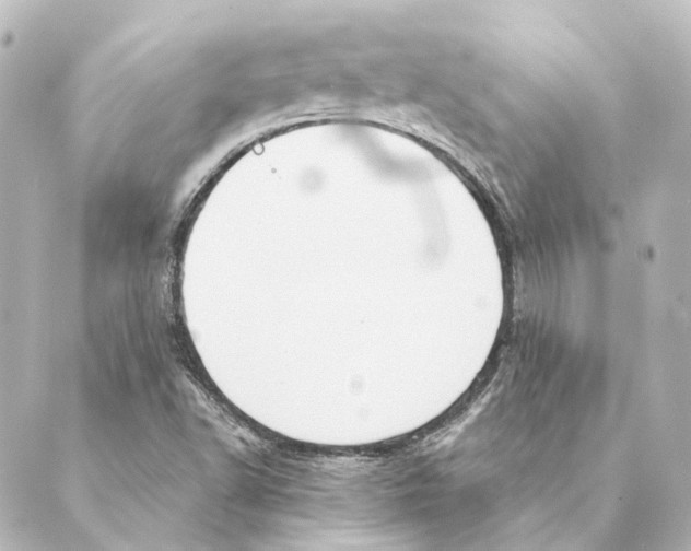 X0000088571502200706221238