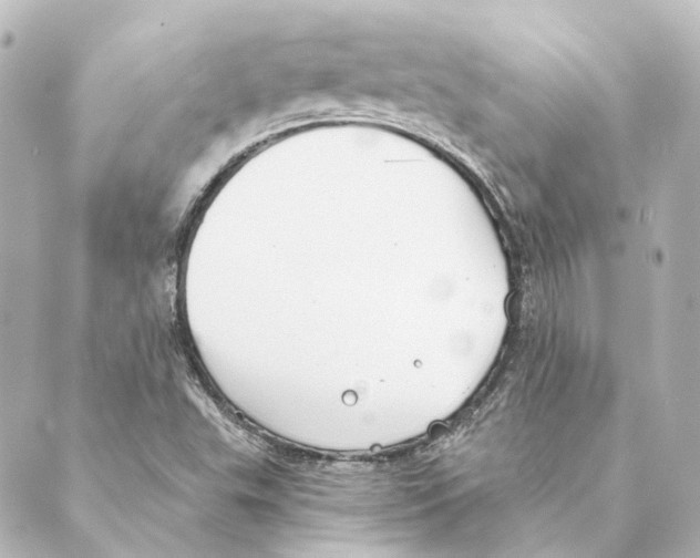 X0000088571503200706221238