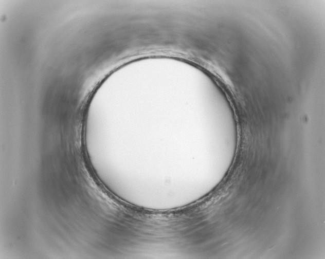 X0000088571504200706221238