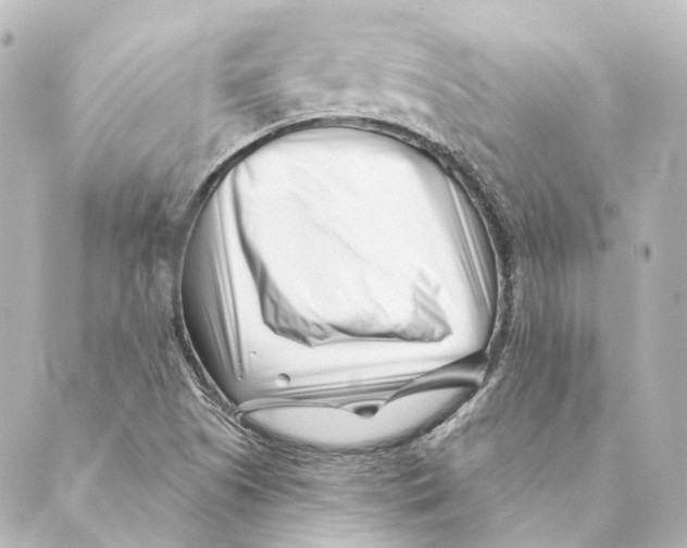 X0000088571505200706221238