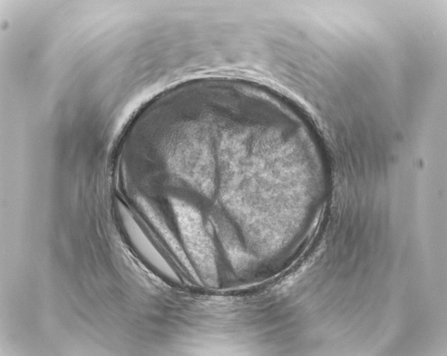 X0000088571506200706221238