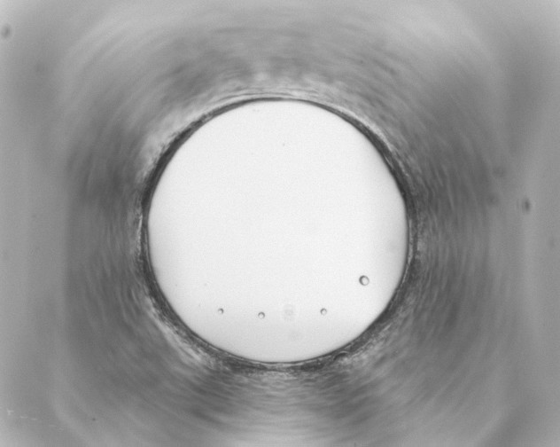 X0000088571507200706221238