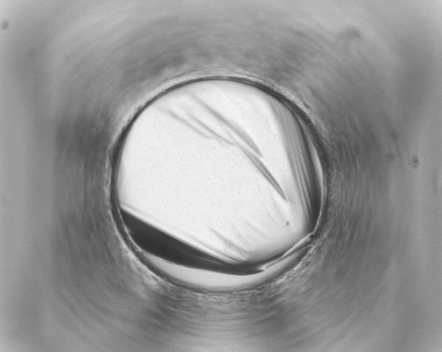 X0000088571508200706221238