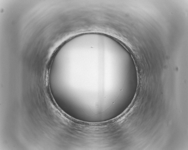 X0000088571510200706221238