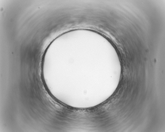 X0000088571512200706221238