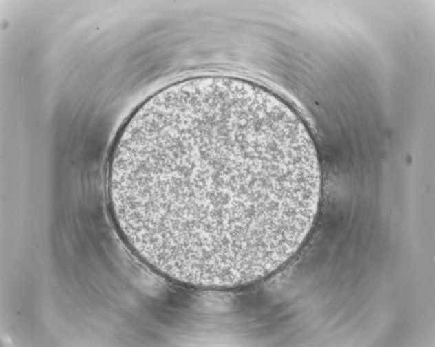 X0000088571514200706221238