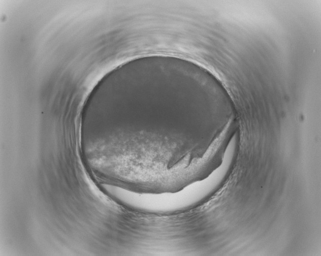 X0000088571515200706221238