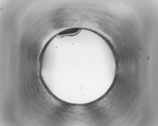 X0000088571517200706221238