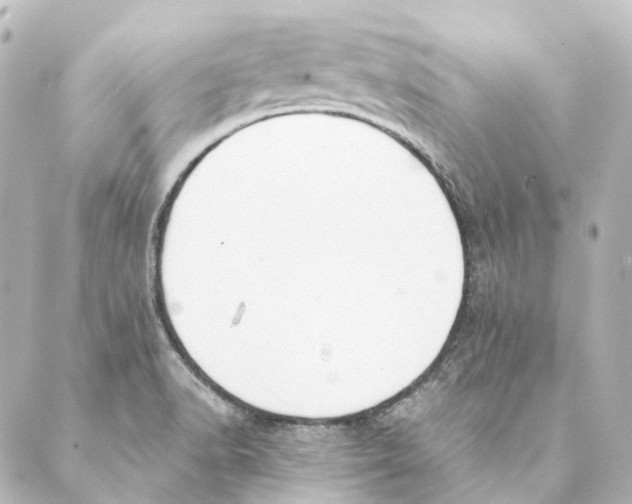 X0000088571518200706221238