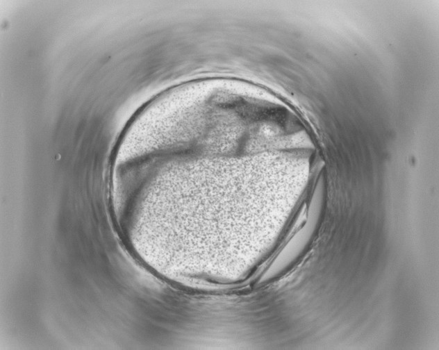 X0000088571519200706221238