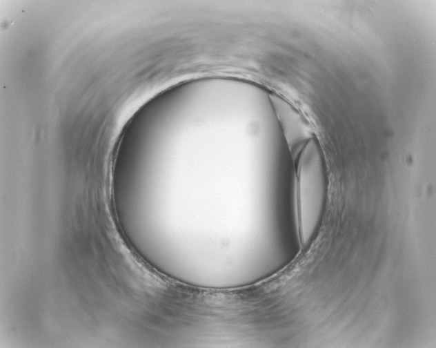 X0000088571520200706221238