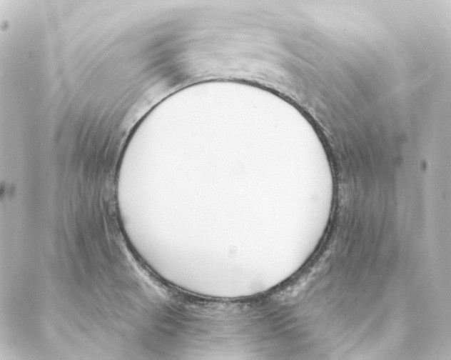 X0000088571521200706221238