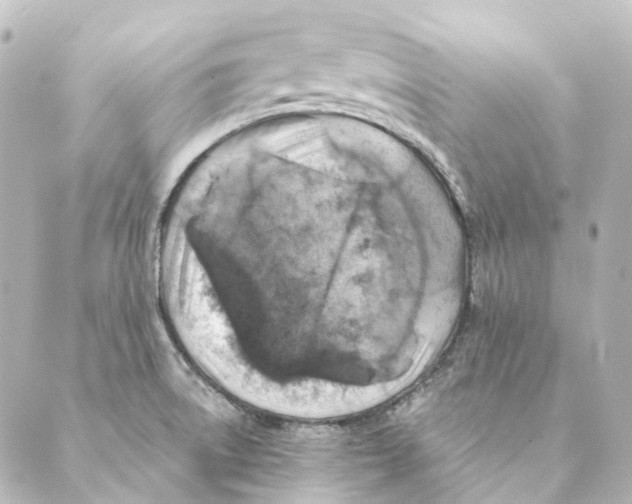 X0000088571522200706221239