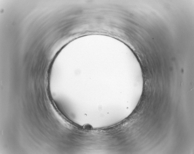 X0000088571523200706221239