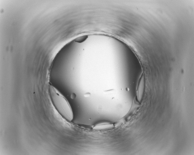 X0000088571524200706221239