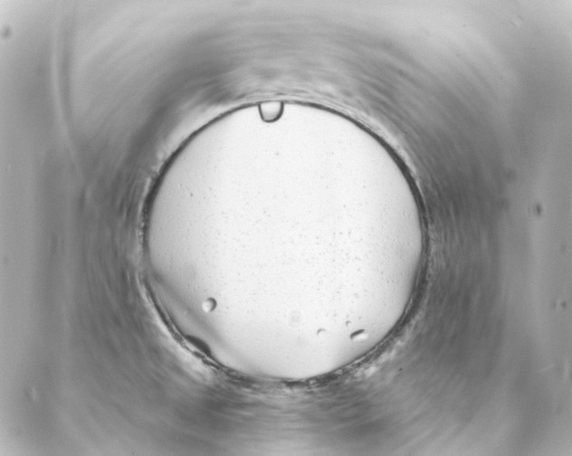 X0000088571525200706221239