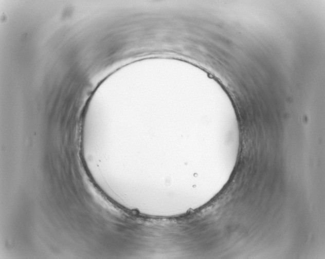 X0000088571526200706221239