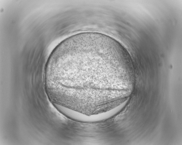 X0000088571527200706221239