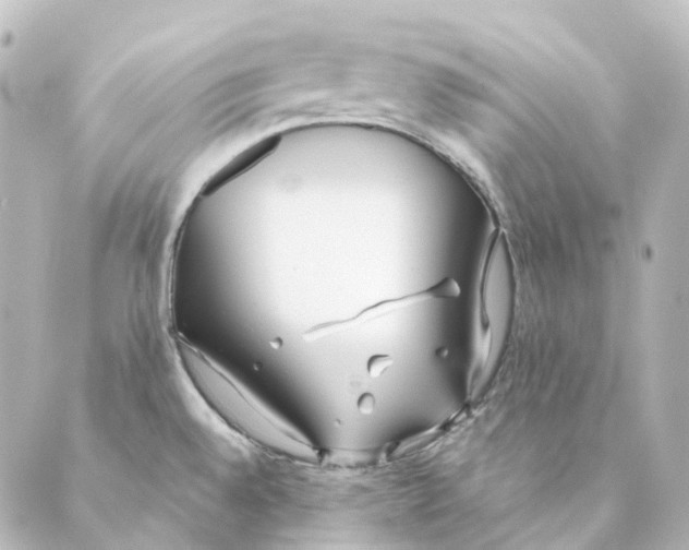 X0000088571528200706221239