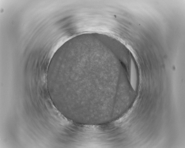 X0000088571529200706221239