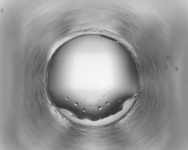 X0000088571530200706221239