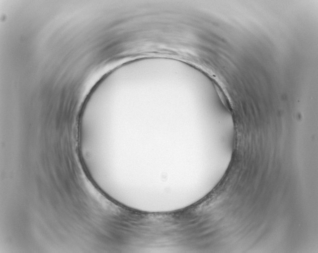 X0000088571531200706221239