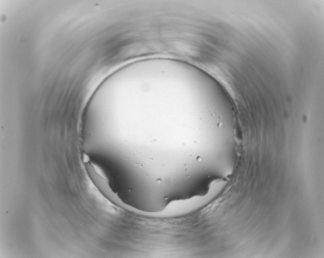 X0000088571532200706221239