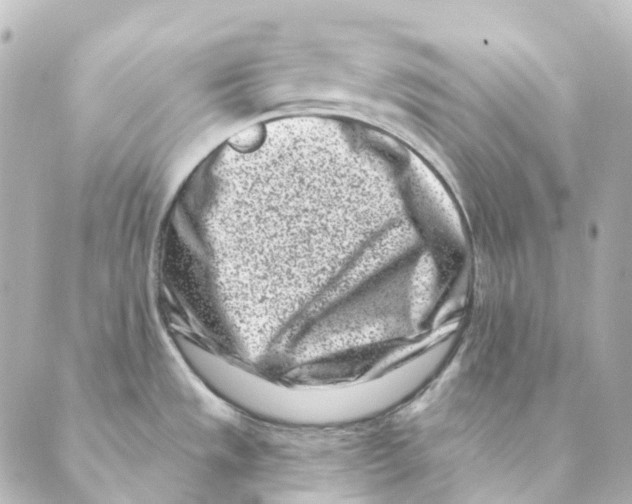 X0000088571533200706221239