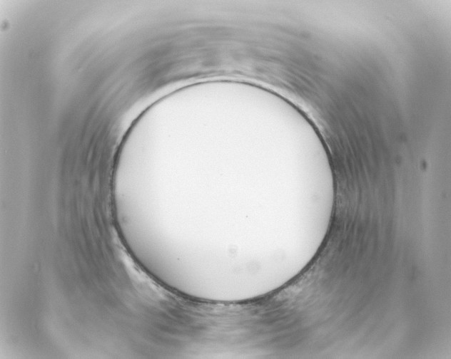 X0000088571534200706221239