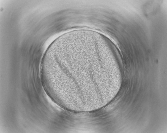 X0000088571535200706221239