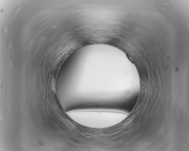 X0000088580143200705250743