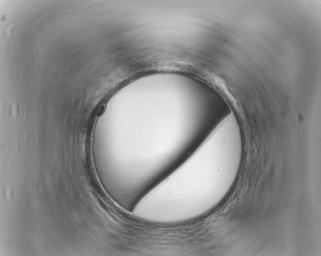 X0000088580299200705250740