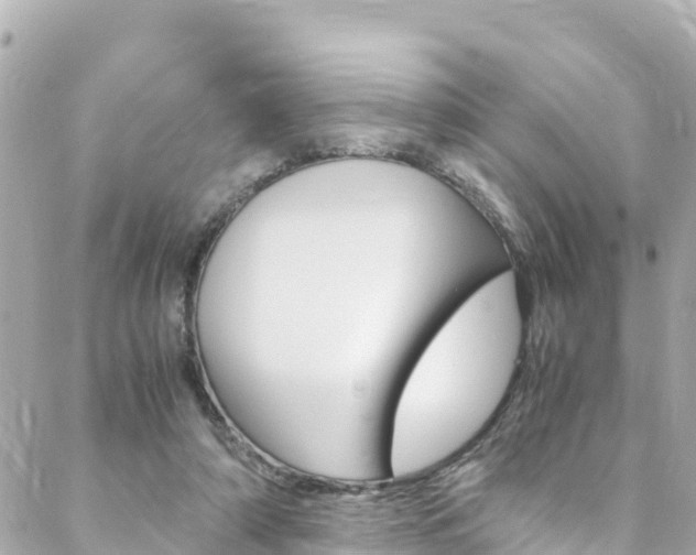X0000088580306200705250740