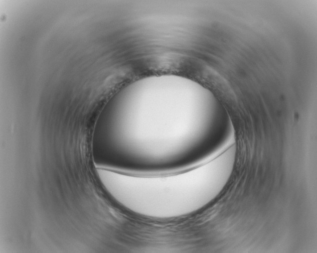 X0000088580416200705250738