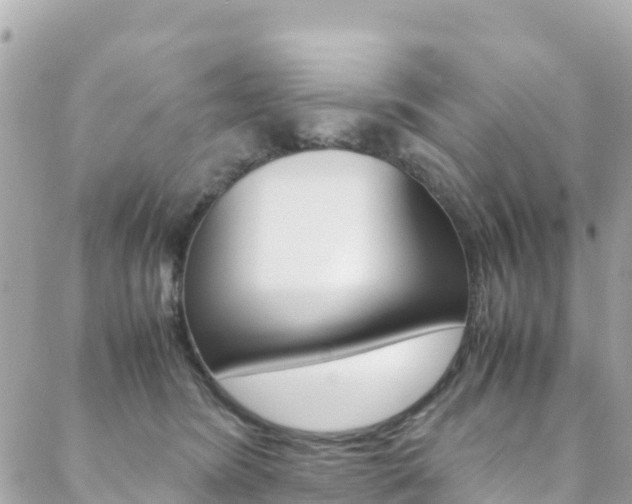 X0000088580420200705250738