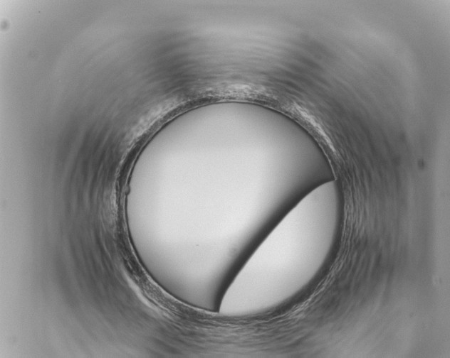 X0000088580674200705250734
