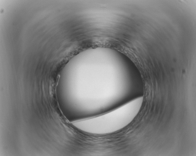 X0000088580712200705250734
