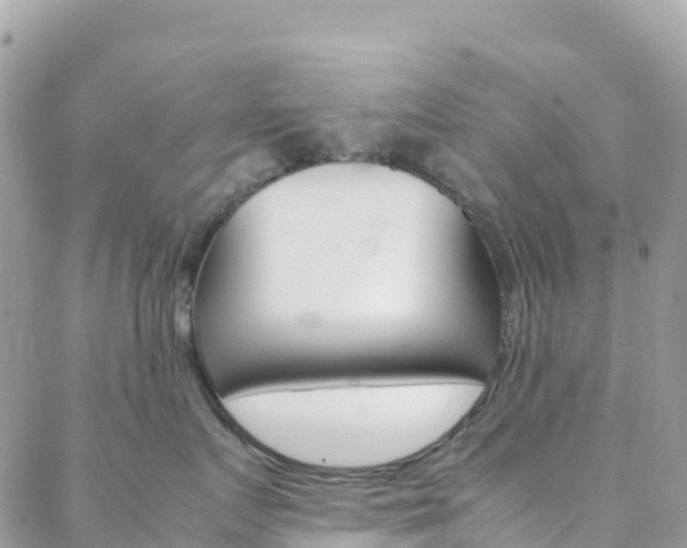 X0000088580719200705250733