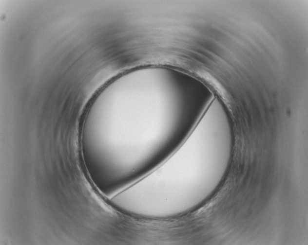 X0000088580894200705250731