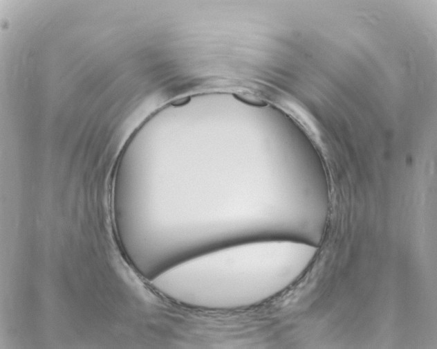 X0000088580907200705250730