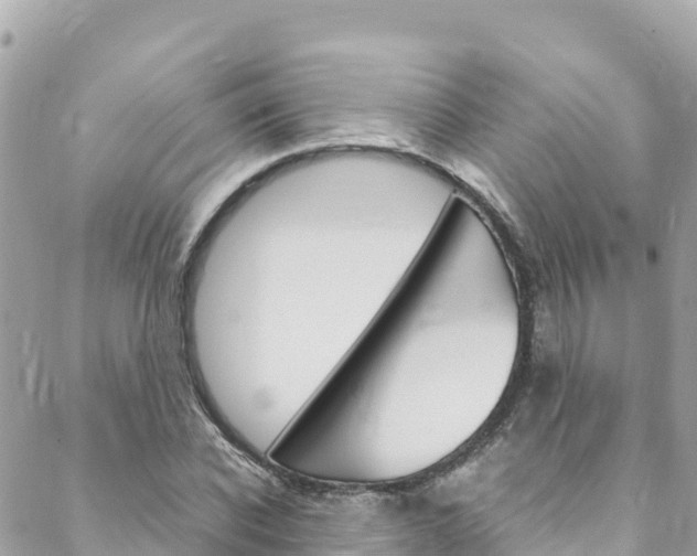 X0000088580926200705250730