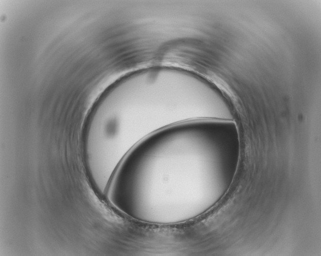 X0000088580934200705250730